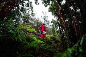 BIB: 
                            <button type="button" onclick="openModal(26203820)" class="btn btn-primary btn-sm float-right btn-popup" data-toggle="modal" data-target=".modal-high-quality">
                        <i class="fas fa-shopping-cart"></i> Add to Cart
                    </button>
                                            <button type="button" onclick="isThisMe(26203820, true)" class="btn btn-success btn-sm float-right btn-popup btn-isme hidden" data-toggle="tooltip" data-placement="bottom" title="นี่คือรูปของคุณใช่ไหม คลิกที่นี่เพื่อเอาเข้าอัลบั้ม">
                        <i class="fas fa-plus"></i> Add to album
                    </button>
                    <button type="button" onclick="isThisMe(26203820, false)" class="btn btn-warning btn-sm float-right btn-popup btn-isnotme hidden">
                        <i class="fas fa-ban"></i> Remove from album
                    </button>